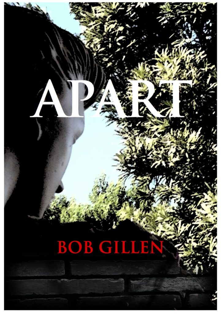 book cover for novel Apart