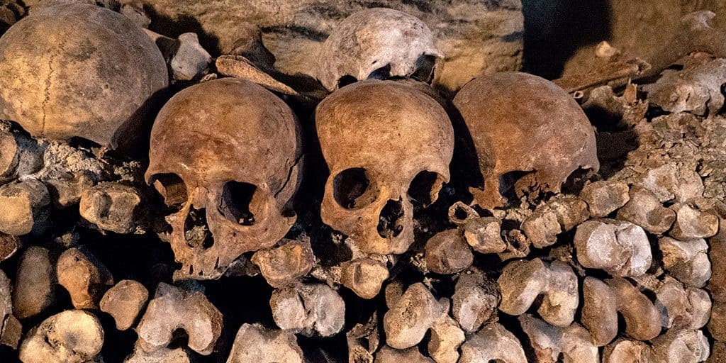 Image of skulls and bones in the wall of the Paris catacombs