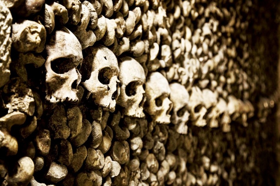 Picture of skulls lining the wall of the Paris catacombs