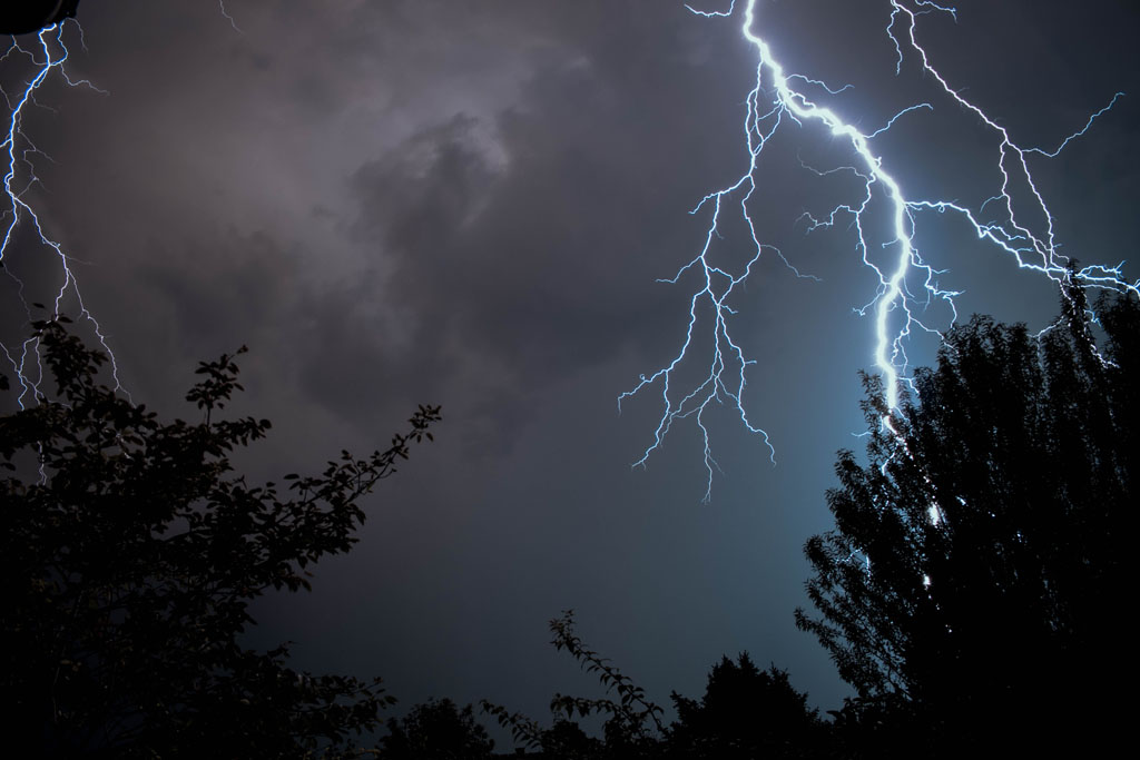 A Viking in the Vines:  A lightning bolt from clear sky changed my life  forever - though it was a real lightning strike and the sky was not clear